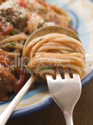 Spaghetti and Tomato Sauce twisted on a fork