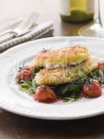 Breadcrumbed Mozzarella Cheese with Roasted Cherry Tomatoes and