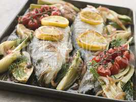 Whole Sea Bass Roasted with Fennel Lemon Garlic and Cherry Tomat