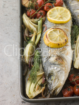 Whole Sea Bass Roasted with Fennel Lemon Garlic and Cherry Tomat