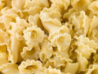 Campanelle Pasta