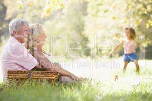 Grandparents at a picnic with young girl in background dancing
