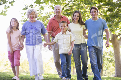 Extended family walking in park holding hands and smiling