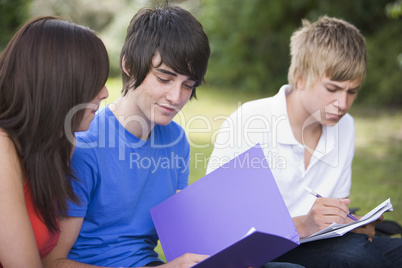 College students studying outside