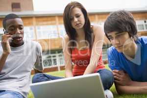 College students using laptop on campus lawn