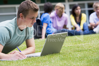 Young man using laptop on campus lawn, with other students relax