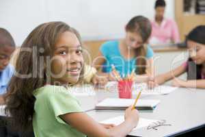 Elementary school pupil in classroom