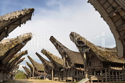 Toraja traditional village