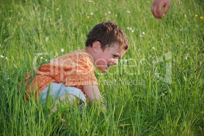 Lachen im grünen Gras