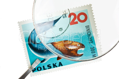 Postage stamp under magnifier with tweezers