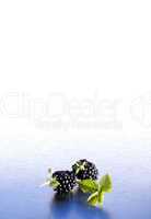 Brombeeren