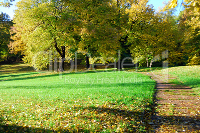 Autumn morning