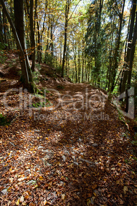 Wanderweg im Herbst