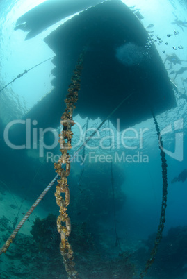 Floating jetty above a coral reef