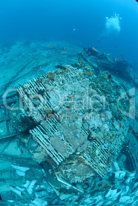 Abandoned cargo from shipwreck