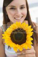Woman holding sunflower