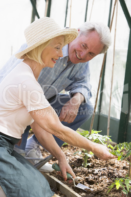 Woman in greenhouse planting seeds and man holding watering can