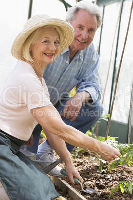 Woman in greenhouse planting seeds and man holding watering can