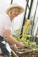 Woman in greenhouse planting seeds smiling