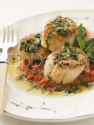 Pan Fried Scallops Piperade and Garlic Butter