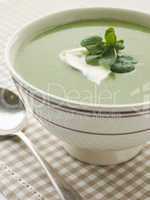 Bowl of Watercress Soup with Cr me Fraiche