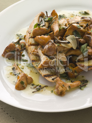 Wild Mushrooms Sauteed in Garlic Butter with Char grilled Baguet