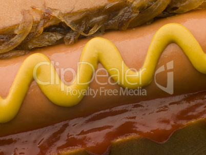 Hot Dog with Fried Onions mustard and Tomato Ketchup