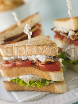 Toasted Triple Decker Club Sandwich with Fries