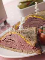 Pastrami on Rye Bread with Mustard