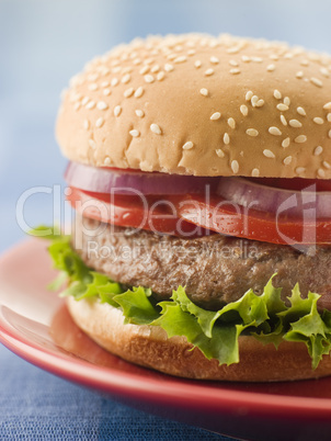 Beef Burger in a Sesame Seed Bun