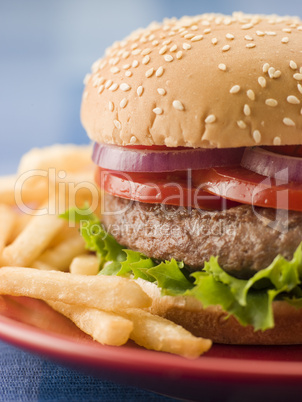 Beef Burger in a Sesame Seed Bun with Fries