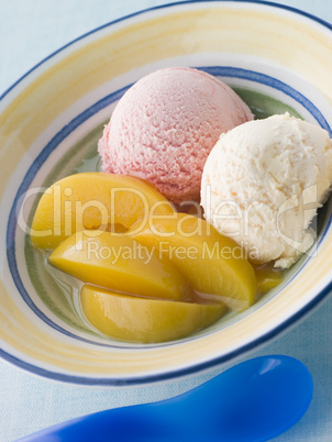 Bowl of Peaches and Ice Cream