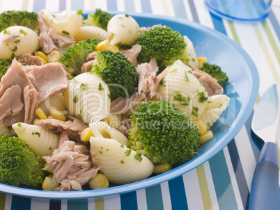 Tuna and Broccoli Pasta Shells