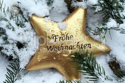 Weihnachtsstern im Schnee