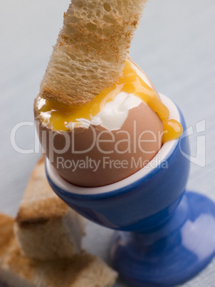 Toasted Soldier being Dipped into a Runny Yolk