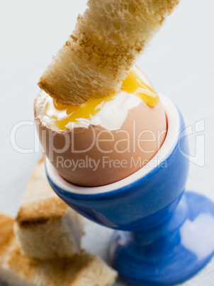 Toasted Soldier being Dipped into a Soft Boiled Egg Yolk