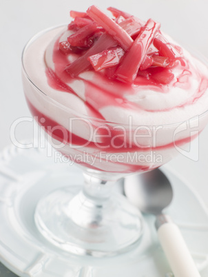 Rhubarb and Ginger Fool