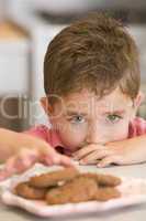 Young boy in kitchen eating cookies