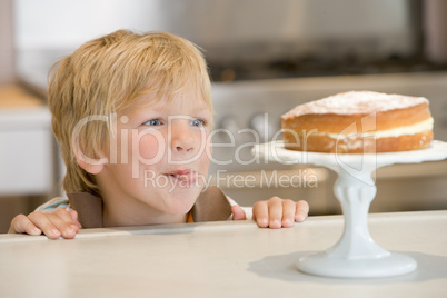 Young boy in kitchen looking at cake on counter