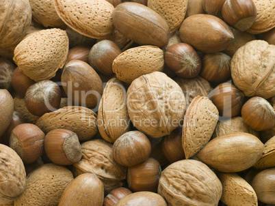 Selection of Mixed Nuts in Shell
