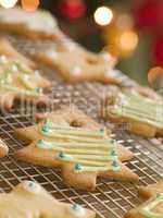 Christmas Tree Biscuits