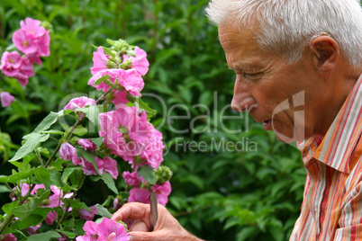 Senior betrachtet Blumen