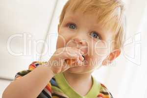 Young boy eating carrot indoors
