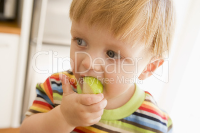 Young boy eating apple indoors