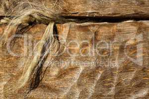 Alte historische Holzwand mit Pferdehaaren