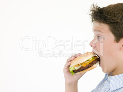 Young boy eating cheeseburger