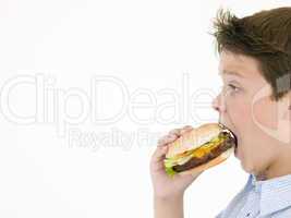 Young boy eating cheeseburger