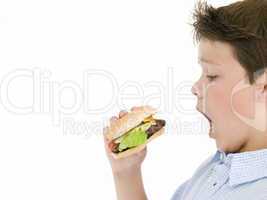 Young boy eating cheeseburger