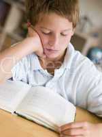 Young Boy Reading A Book In His Room