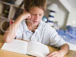 Young Boy Reading A Book In His Room